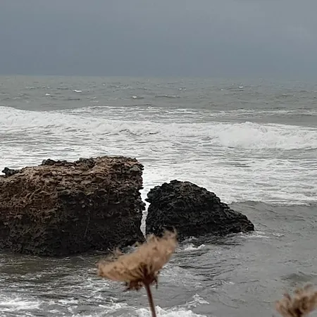 Maremma Fra Mare E Campagna