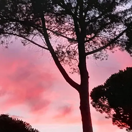 Maremma Fra Mare E Campagna Apartman Alberese