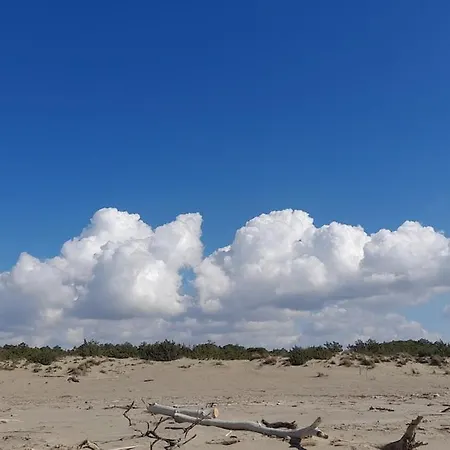 Maremma Fra Mare E Campagna Apartman *