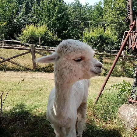 Maremma Fra Mare E Campagna *