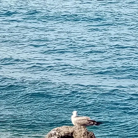 Maremma Fra Mare E Campagna Alberese