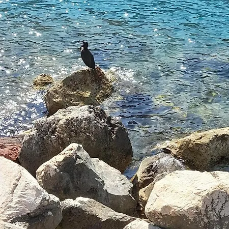 Maremma Fra Mare E Campagna Apartman