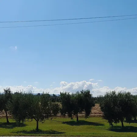 Maremma Fra Mare E Campagna *