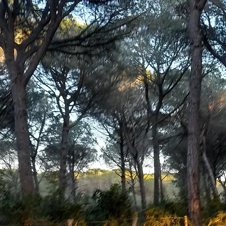 Maremma Fra Mare E Campagna